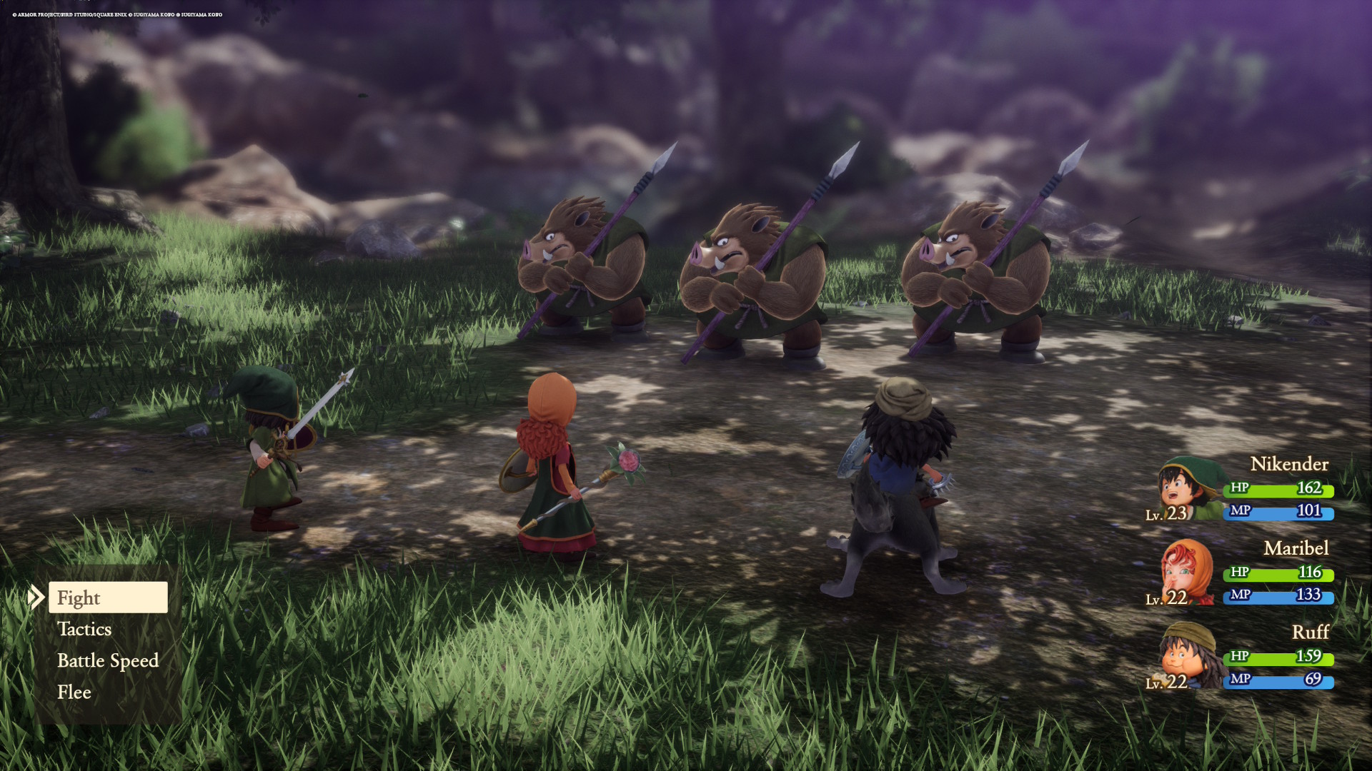 Dragon Quest VII Reimagined_Villisikoja metsässä