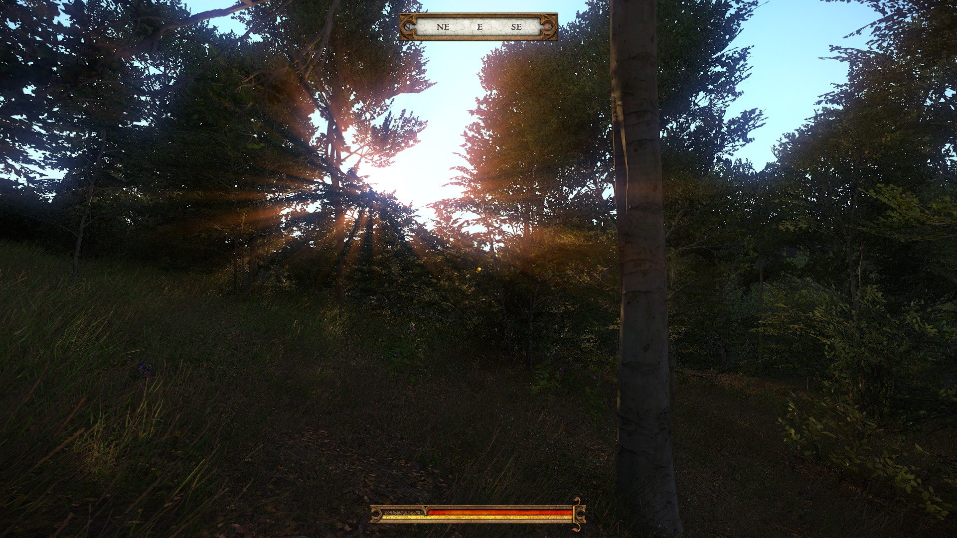 Kingdom Come: metsässä