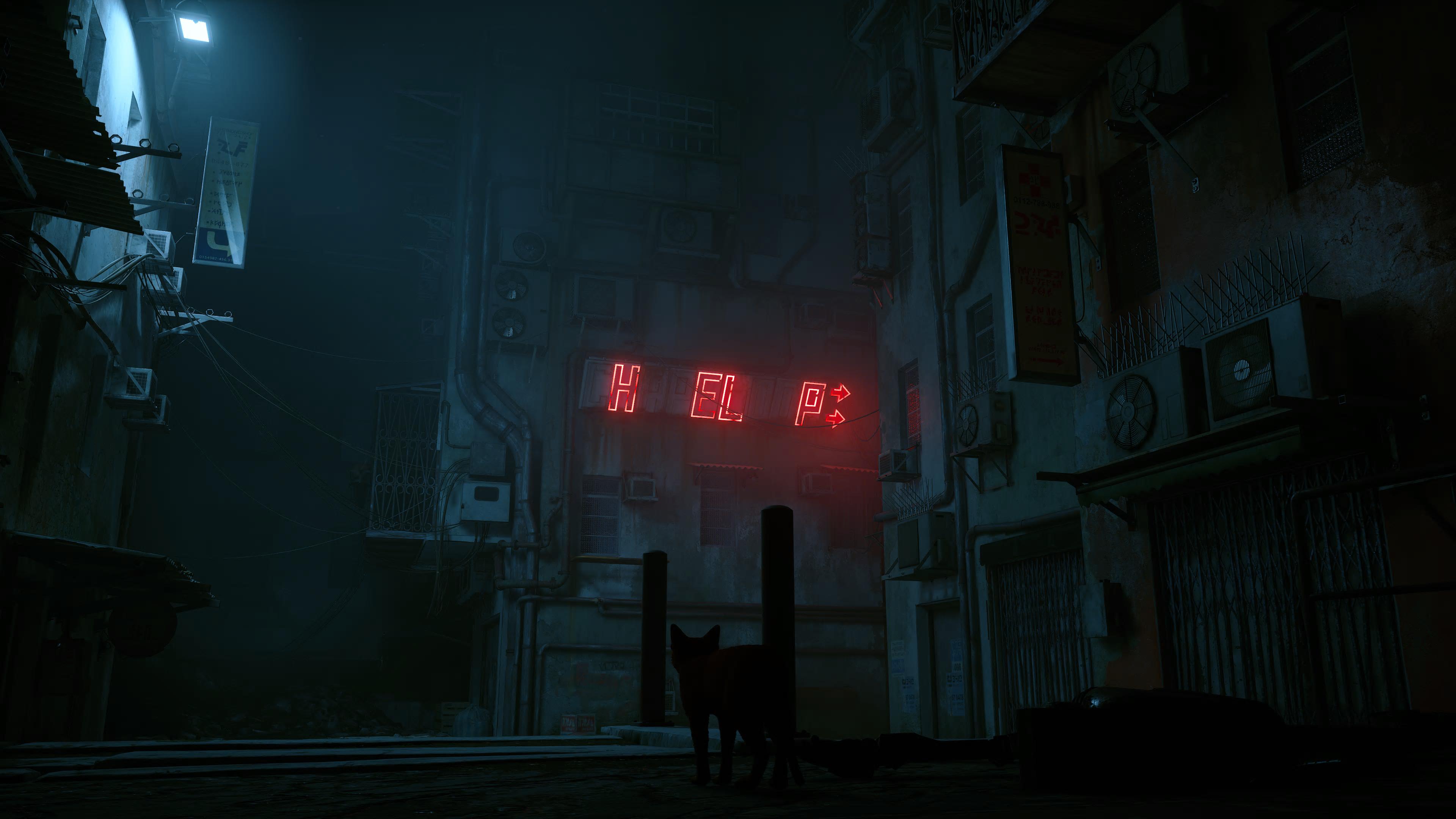 Stray_help