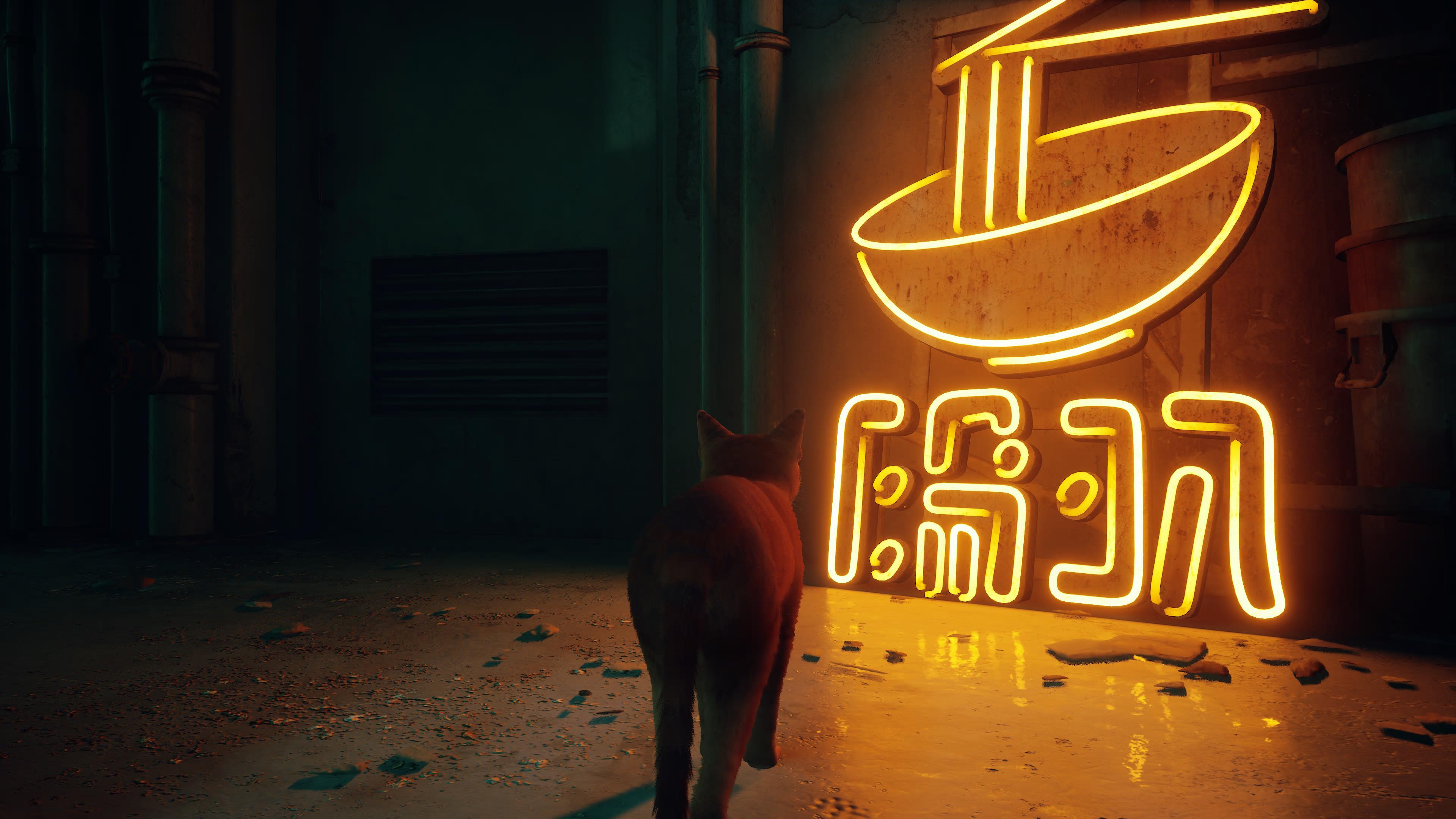Stray_nuudeleita