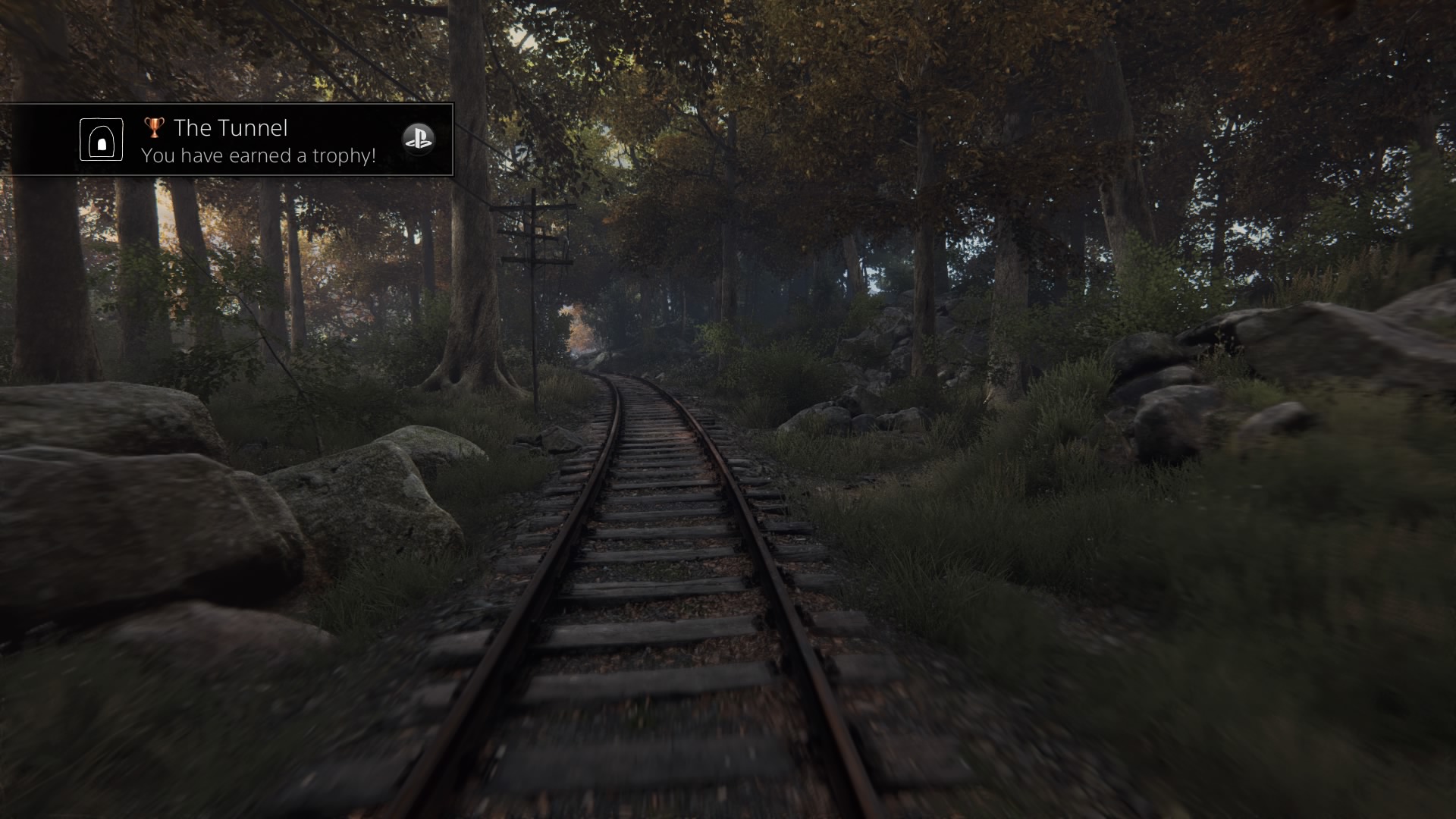 Alun hylätty rautatie (The Vanishing of Ethan Carter)