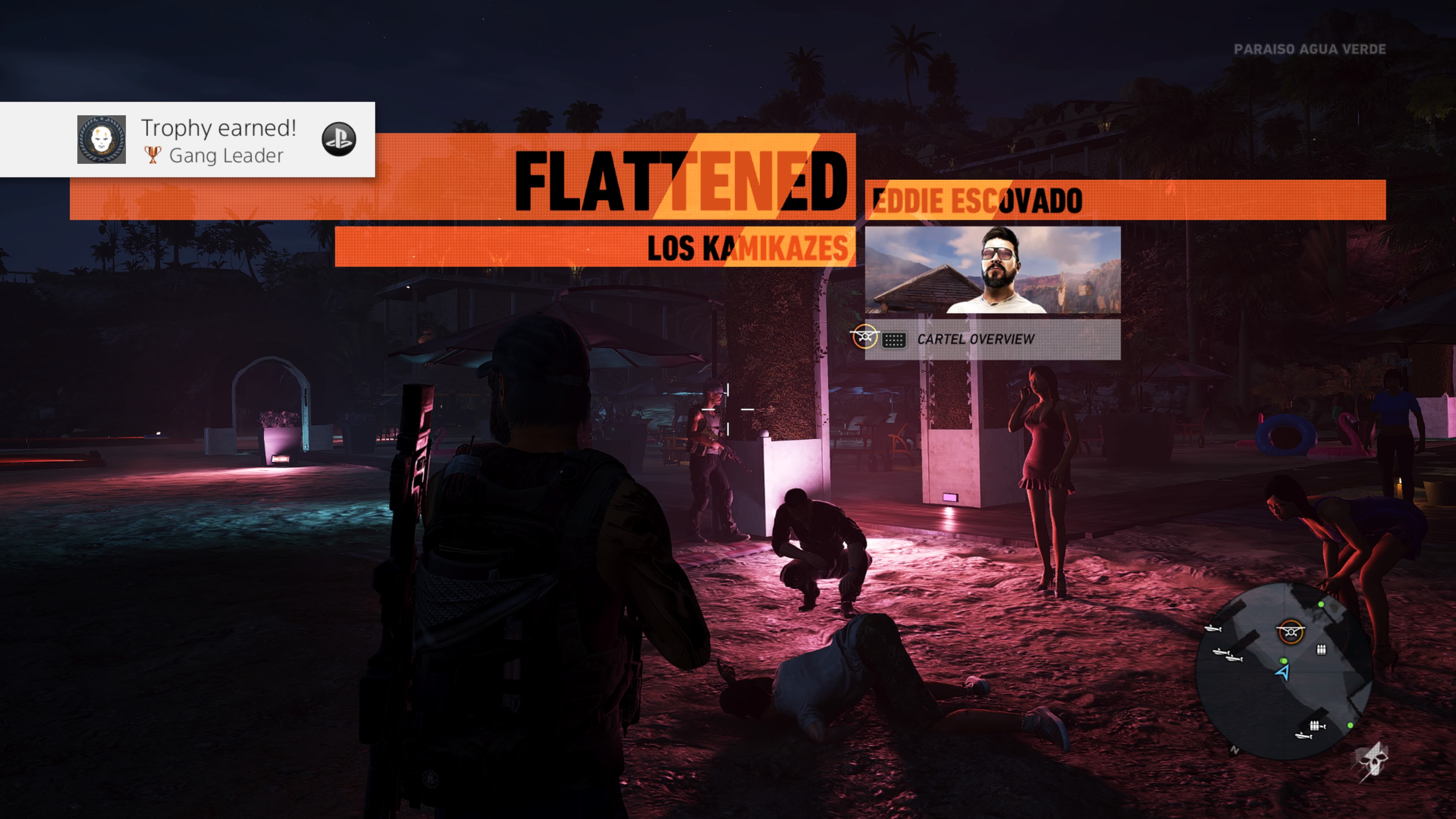 Tom Clancy's Ghost Recon® Wildlands Narco Road