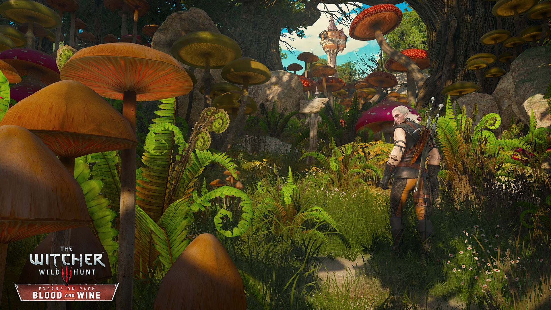 The Witcher 3
