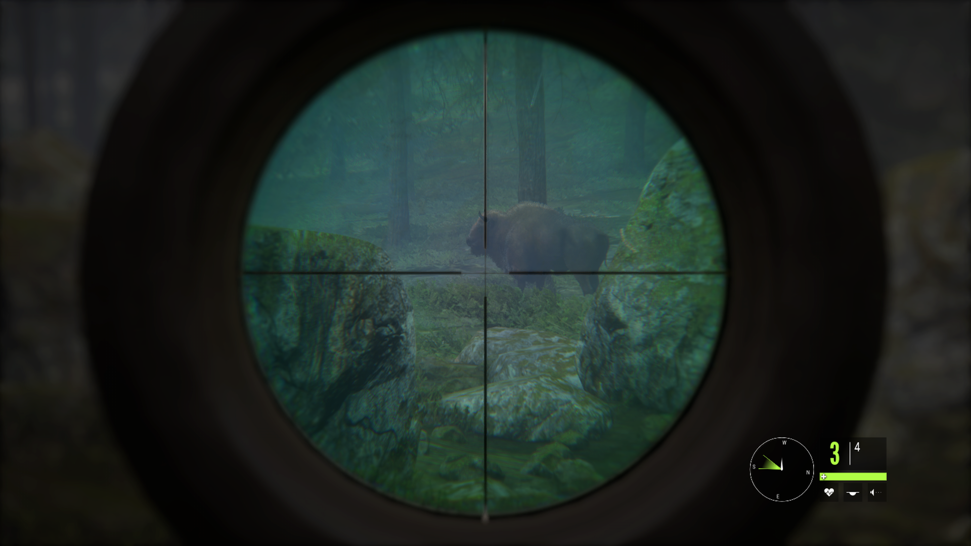 theHunter: Call of the Wild: Biisoni