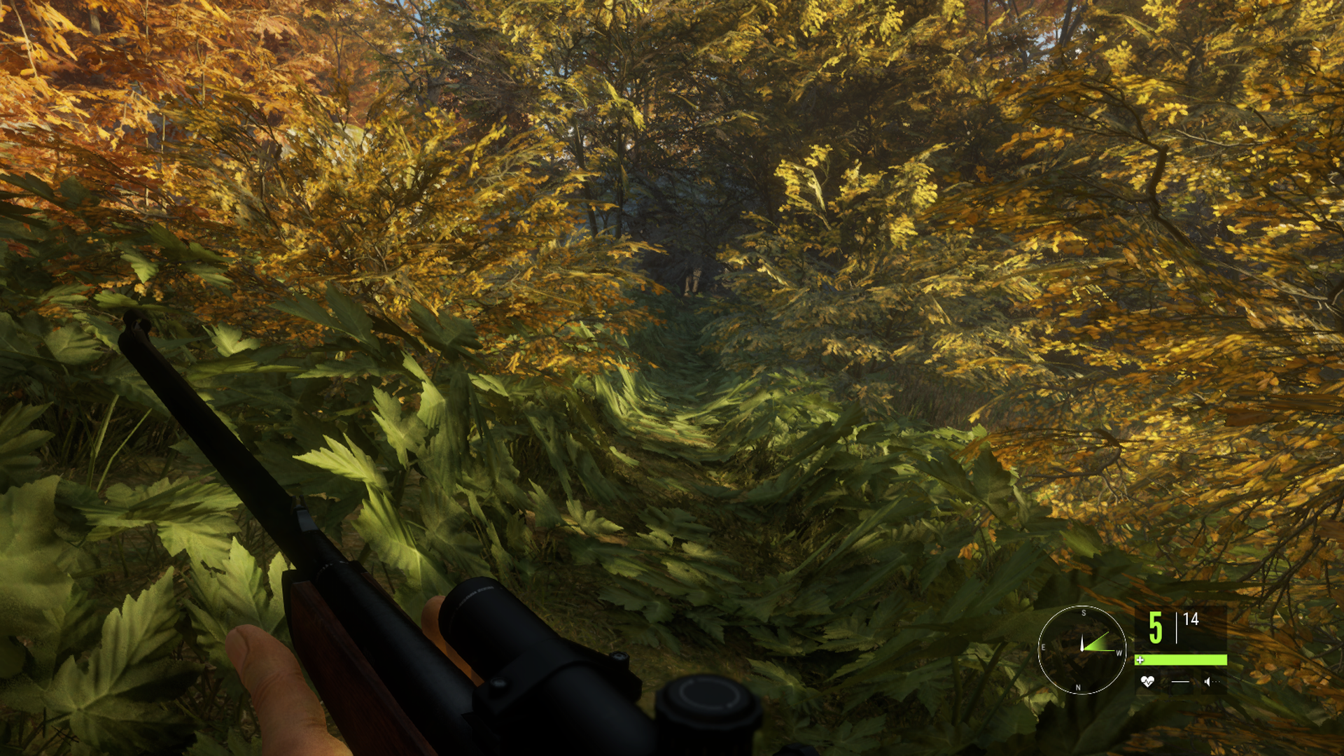 theHunter: Call of the Wild: Kasvit