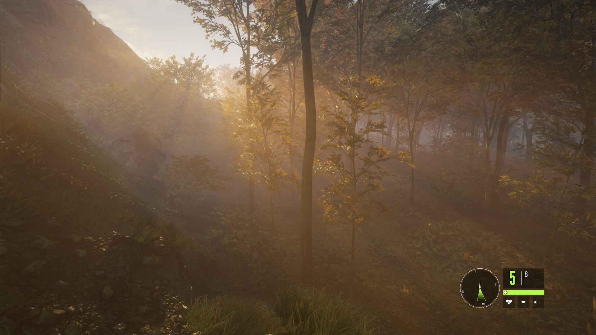 theHunter: Call of the Wild: Aamuaurinko