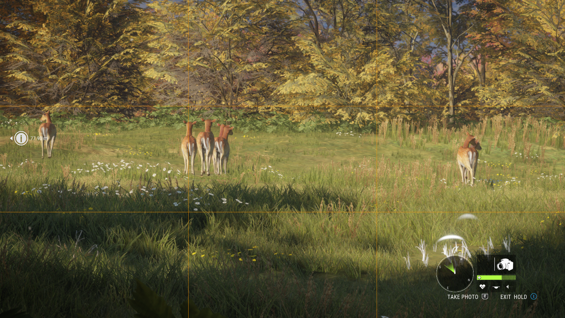theHunter: Call of the Wild: Peuralauma
