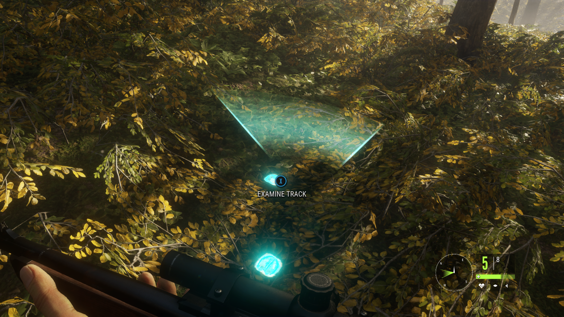 theHunter: Call of the Wild: Vihjeet