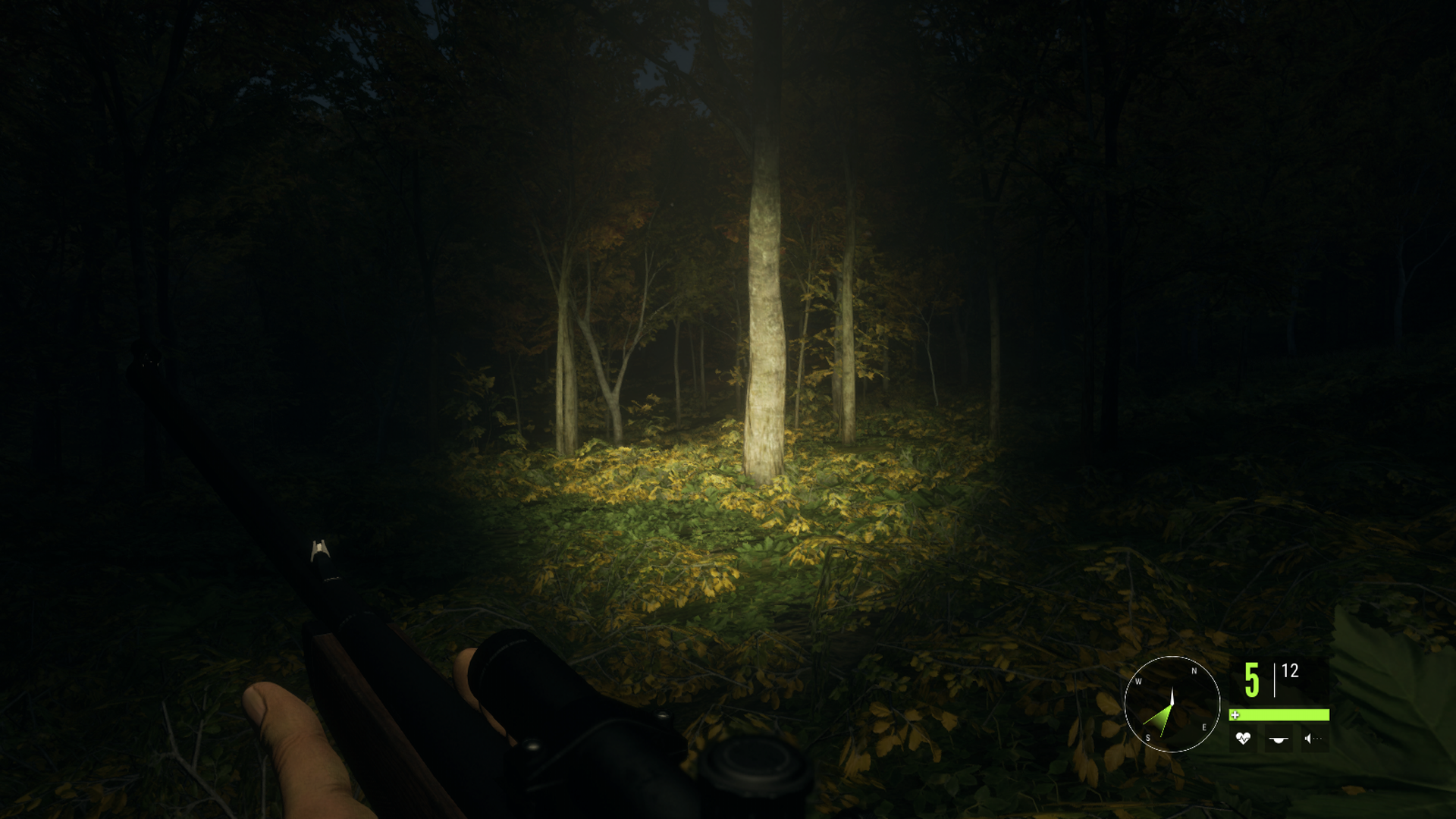 theHunter: Call of the Wild: Yö