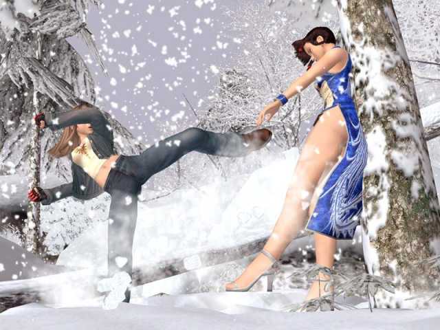Dead or Alive 3