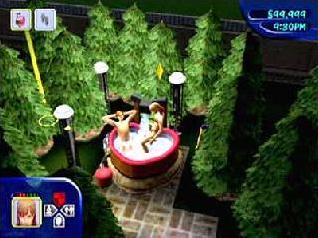 The Sims
