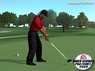 Tiger Woods PGA Tour 2003