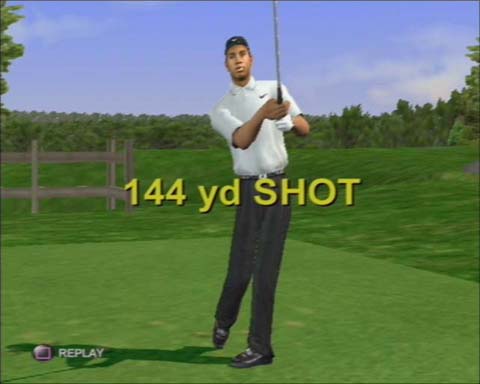 Tiger Woods PGA Tour 2001