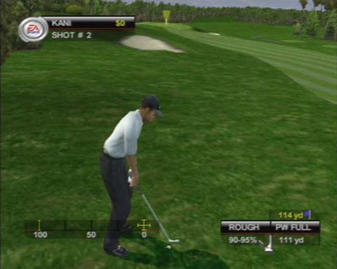 Tiger Woods PGA Tour 2001