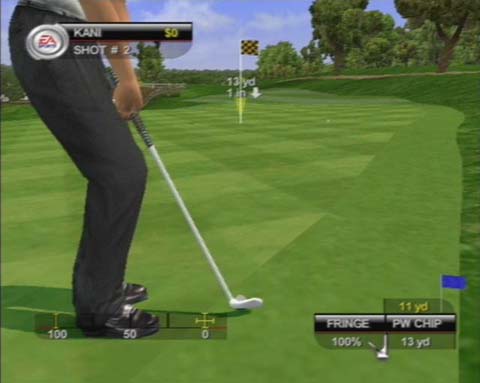 Tiger Woods PGA Tour 2001