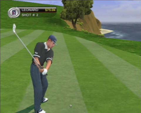 Tiger Woods PGA Tour 2001