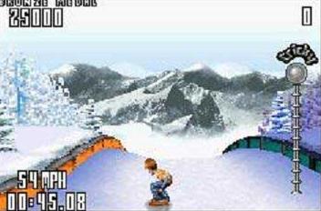 SSX Tricky