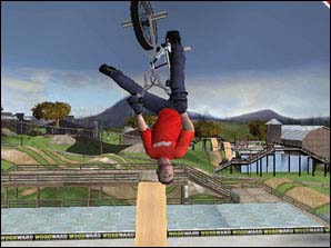 Dave Mirra Freestyle BMX 2