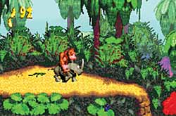 Donkey Kong Country
