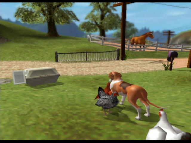 Dog's Life