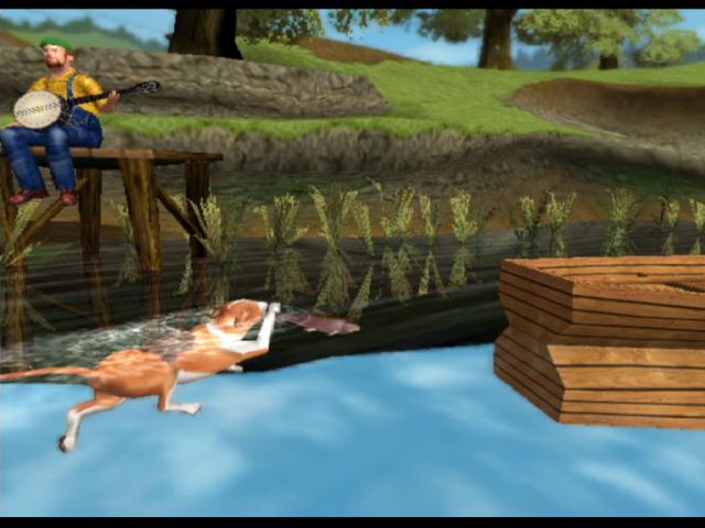 Dog's Life
