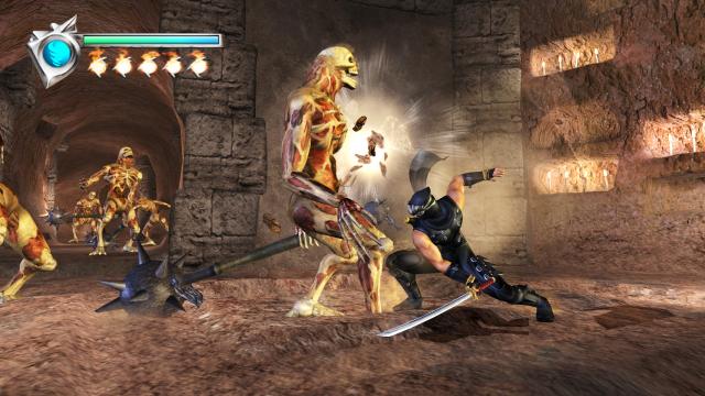 Ninja Gaidenia siistitään Eurooppaa varten?