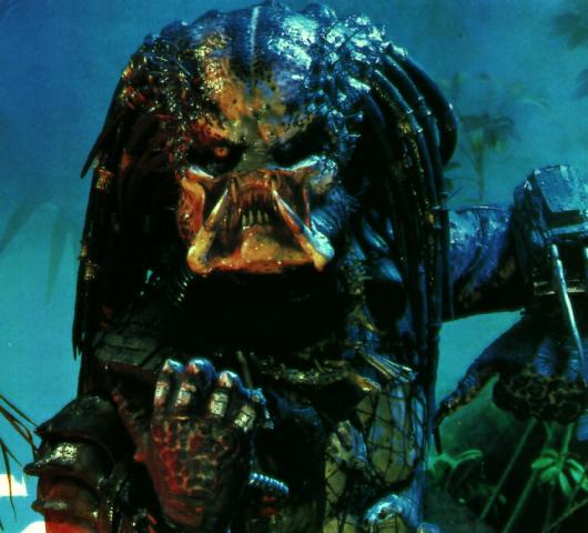 VU Gamesilta Predatoria