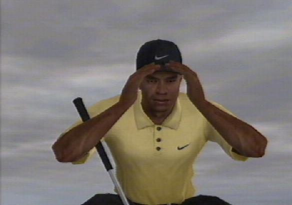 Tiger Woods PGA Tour 2004