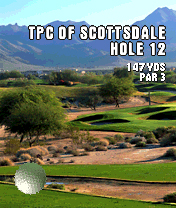 Tiger Woods PGA Tour 2004