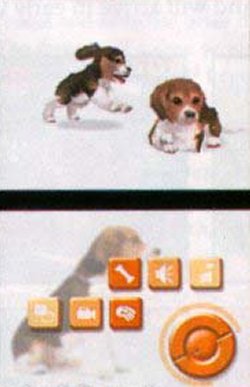 Nintendolta virtuaalilemmikkipeli DS:lle
