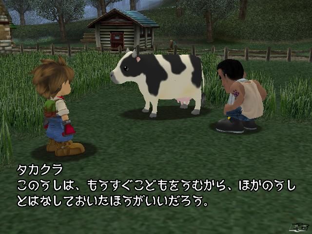Harvest Moon PlayStation 2:lle