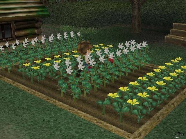 Harvest Moon PlayStation 2:lle