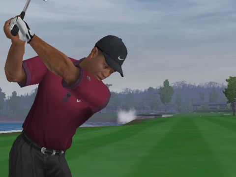 Tiger Woods PGA Tour 2005