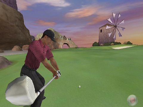 Tiger Woods PGA Tour 2005