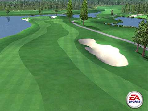 Tiger Woods PGA Tour 2005
