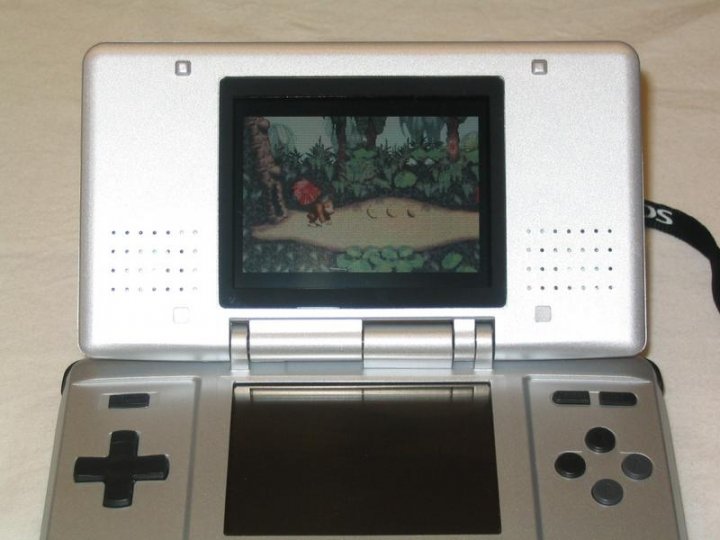 Nintendo DS ensitestissä
