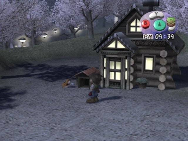Harvest Moon: A Wonderful Life