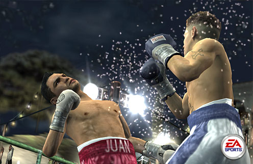Fight Night Round 2