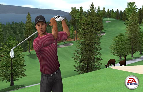 Tiger Woods PGA Tour 2005