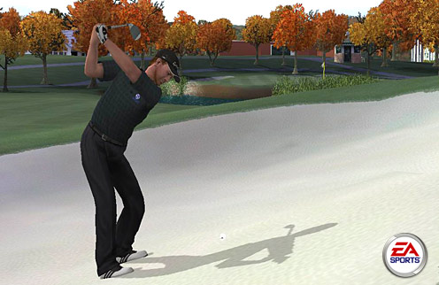 Tiger Woods PGA Tour 2005