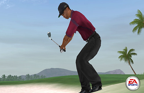 Tiger Woods PGA Tour 2005
