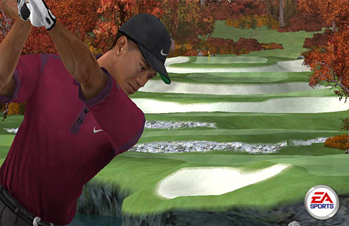 Tiger Woods PGA Tour 2005