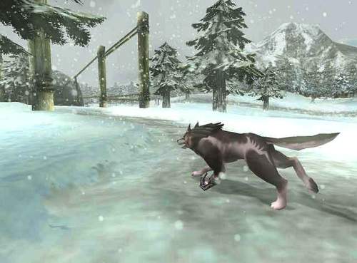 GC 2005: Puolisen tusinaa Zelda-kuvaa