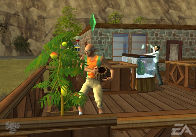 The Sims 2
