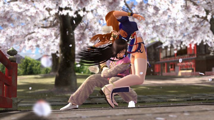 Dead or Alive 4