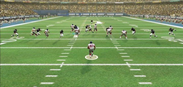 Madden 06