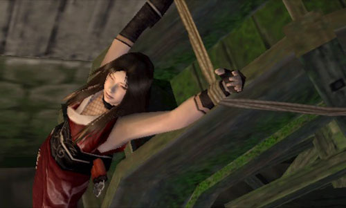 Shinobido: Way of the Ninja
