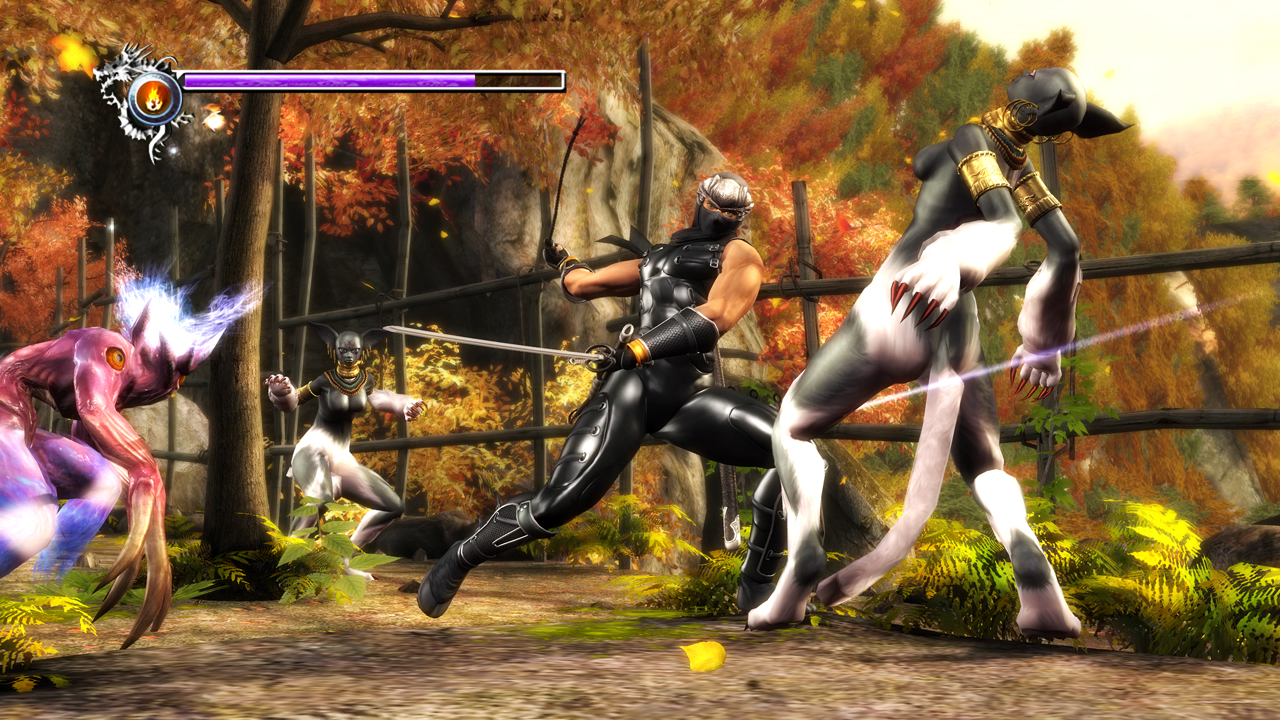 Kuvia Ninja Gaiden Sigman lisukkeista
