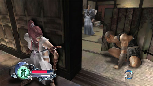 Tenchu Z