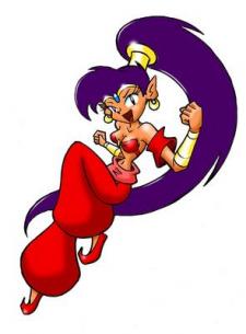Shantae WiiWarelle